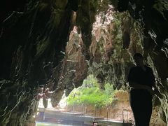 -怀托摩萤火虫洞