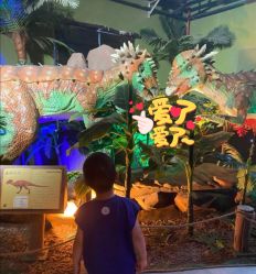 -恐龙探索乐园(磁器口店)