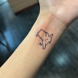-刺客纹画·纹身·洗纹身.穿孔饰品