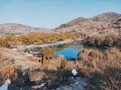 -白马涧龙池景区