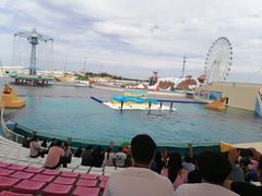 -秦皇岛乐岛海洋王国