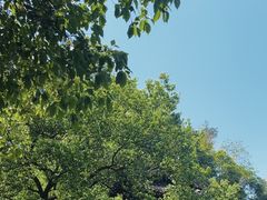 -土家风情园