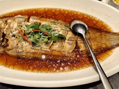 -骏莱海鲜鱼港(五角场店)