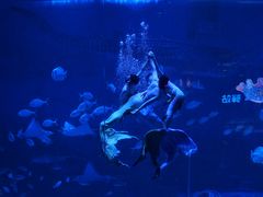 -烟台海昌鲸鲨海洋公园