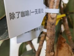 -ChanDu躔度咖啡(灯塔店)