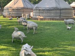 -九十九顶毡房(阜石路店)