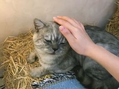 -浮漫咖啡(镜湖万达广场店)