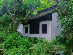 -上海醉白池公园