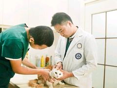 -瑞派康怡24h宠物医院·犬猫医疗中心·微创绝育(瑞景分院)