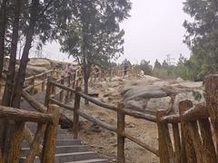 -白水寺森林公园