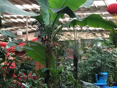 -兴芮温泉度假区