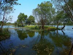 -长兴太湖图影湿地文化园