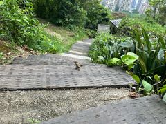 -青青世界