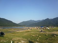 -罗坑大草原