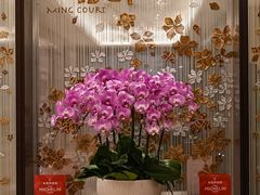 -明阁 Ming Court(广州朗豪酒店)