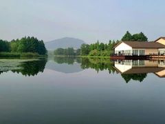 -长广溪湿地公园