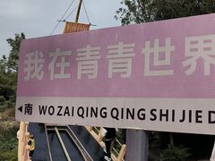-青青世界