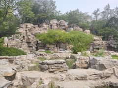 -莲花池公园