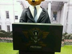 android_upload_pic-济州岛泰迪熊博物馆