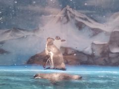 -锦艺城海洋馆