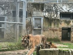 -黔灵山公园-南门售票处