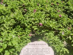 -太阳宫公园