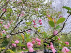 -八卦田遗址公园