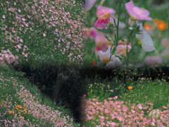 -西湖风景区-江洋畈生态公园