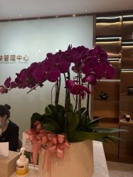 -杭州米兰柏羽医疗美容医院