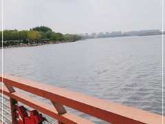-丁香湖公园