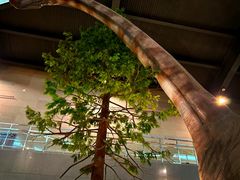 -湖南省地质博物馆