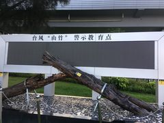 -宝安西湾红树林湿地公园