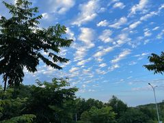 -星湖特色餐厅· 三岔湖环球融创天堂洲际酒店