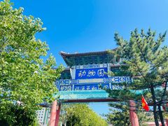 -西霞口神雕山野生动物世界