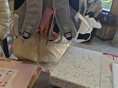 -半岛宠物医院24小时·内窥镜·牙科·碎石中心(府城大道店)