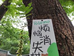 -狼山风景名胜区