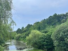 -上海华凯华美达广场酒店