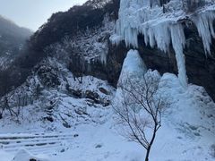 -少华山国家森林公园