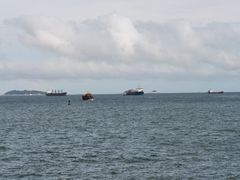 -演武大桥观景平台