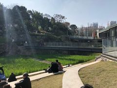 -百林公园-两江幸福广场