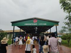 -亚龙湾国际玫瑰谷