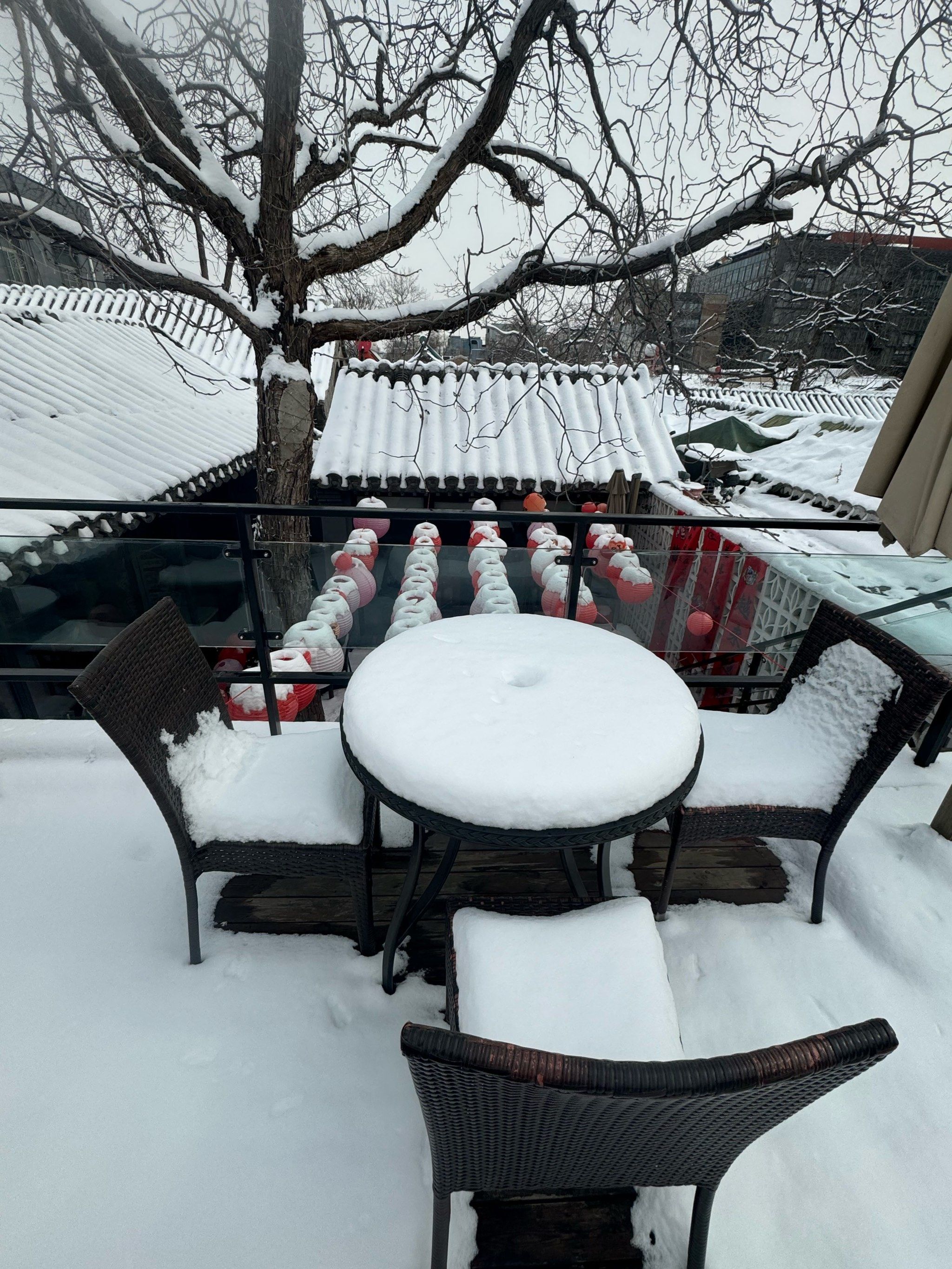 北京第一场春雪❄️瑞雪兆丰年‼️‼️‼️