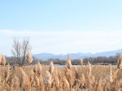 -野鸭湖国家湿地公园