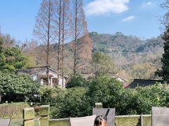 -嘉龙茶庄