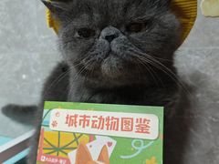 -瑞虹新天地月亮湾