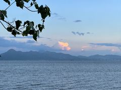 -深圳湾公园(南山区)