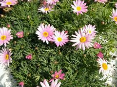 -瓦库茶馆17号(海汇港店)