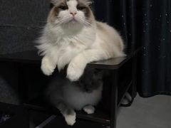 -零纪元VR体验馆·桌游(黄浦店)