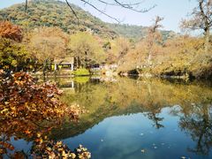 -东山风景区(洞庭东山)