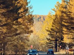 -五营红松林海景区